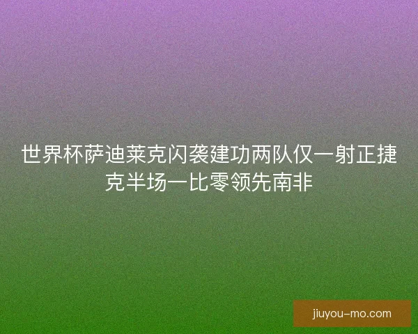 世界杯萨迪莱克闪袭建功两队仅一射正捷克半场一比零领先南非